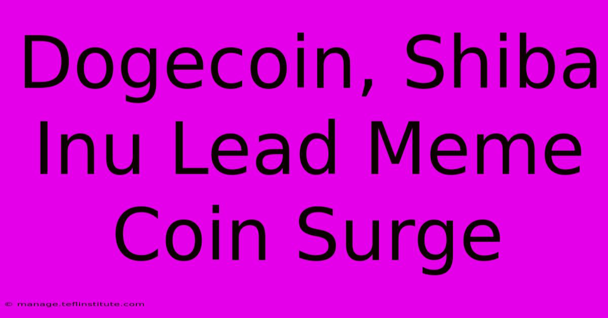 Dogecoin, Shiba Inu Lead Meme Coin Surge 