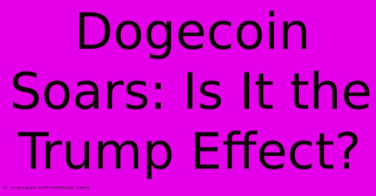 Dogecoin Soars: Is It The Trump Effect? 