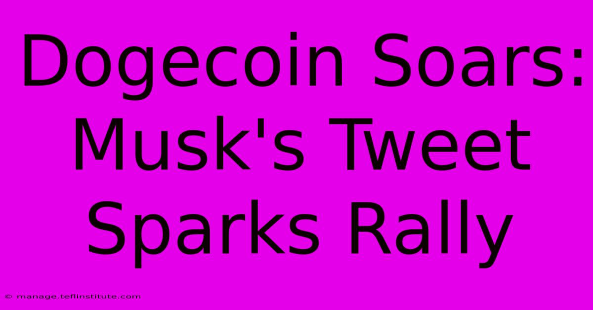 Dogecoin Soars: Musk's Tweet Sparks Rally