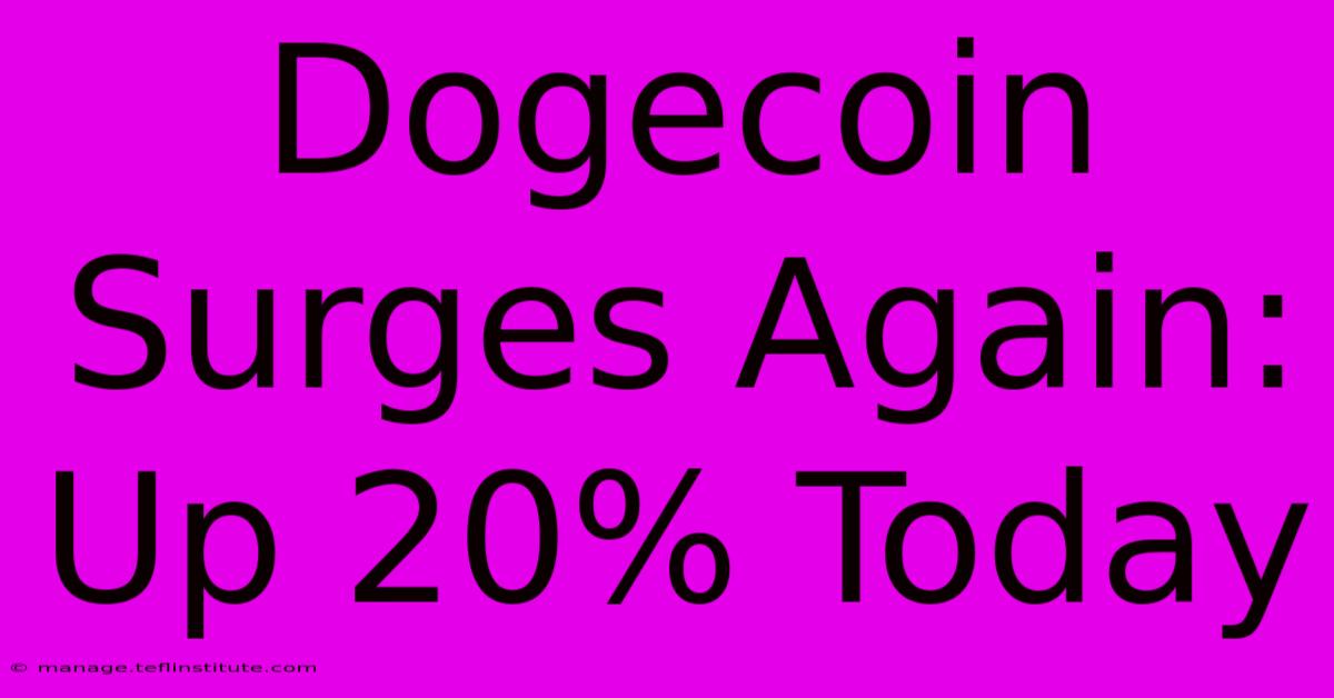 Dogecoin Surges Again: Up 20% Today