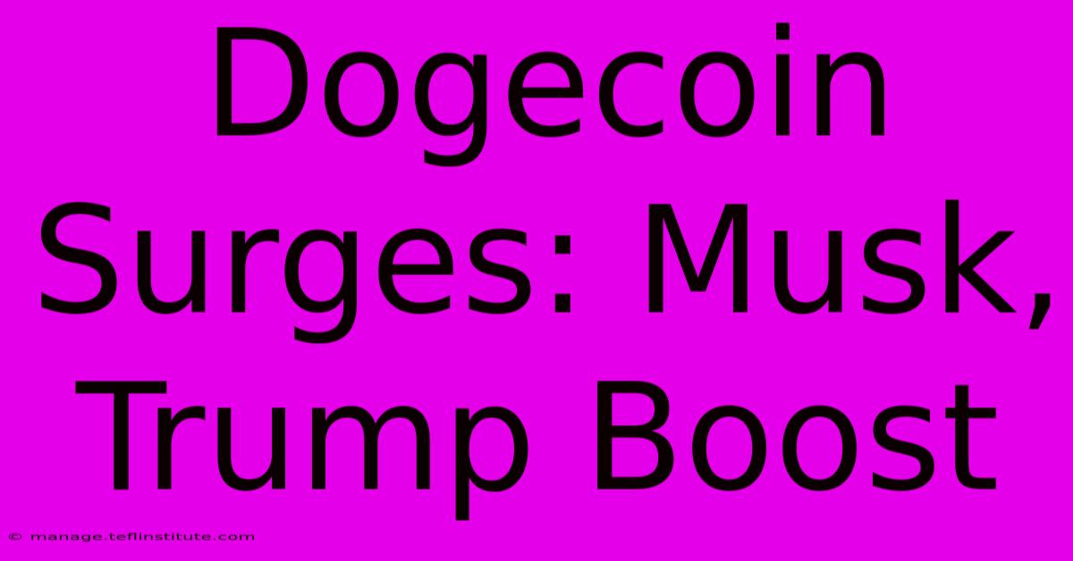 Dogecoin Surges: Musk, Trump Boost