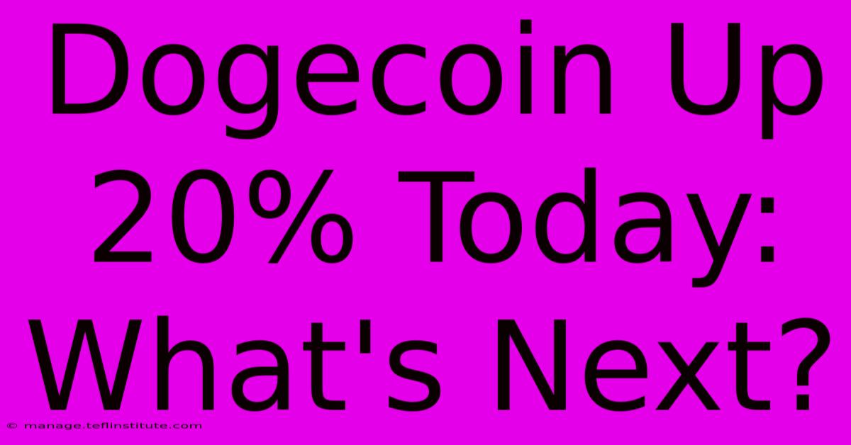 Dogecoin Up 20% Today: What's Next?