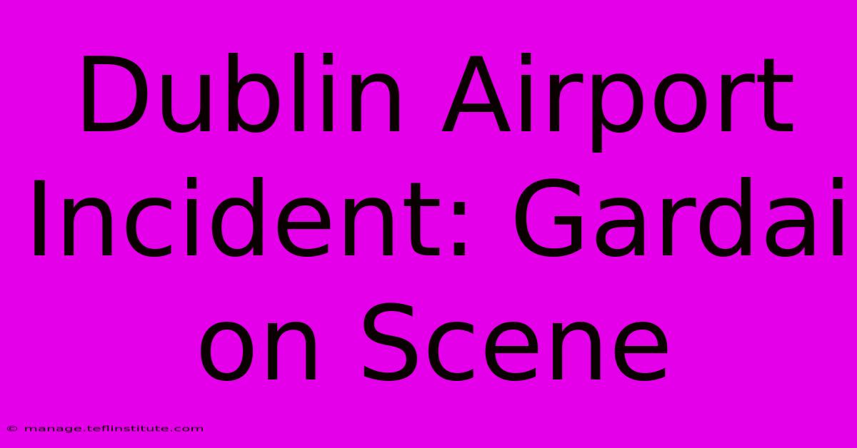 Dublin Airport Incident: Gardai On Scene