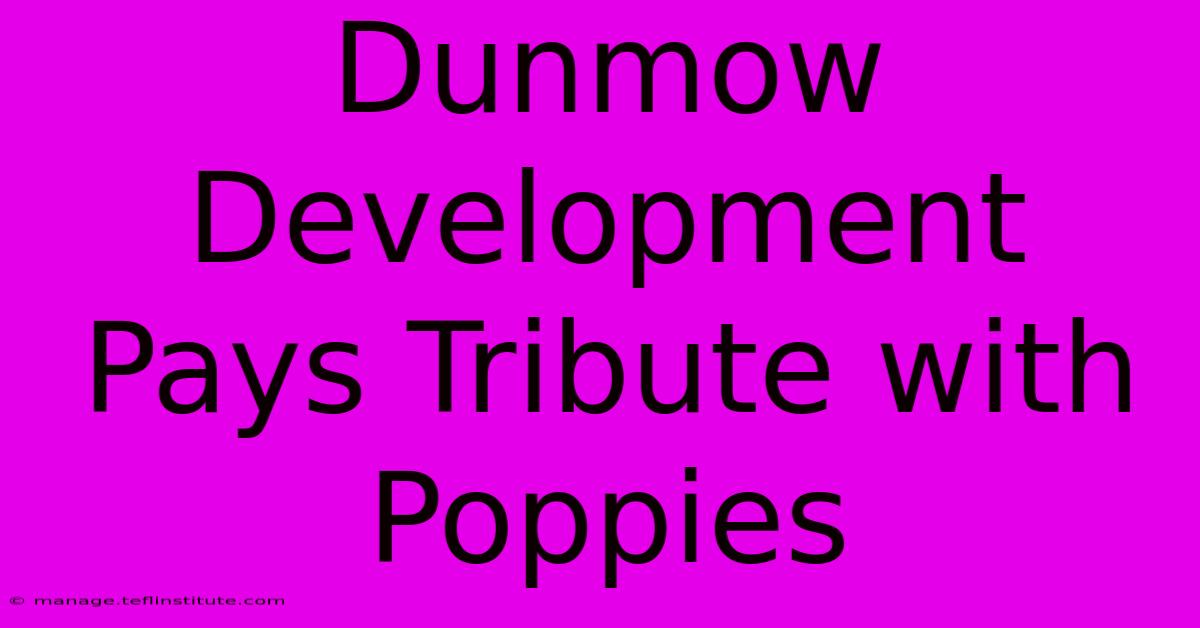 Dunmow Development Pays Tribute With Poppies 