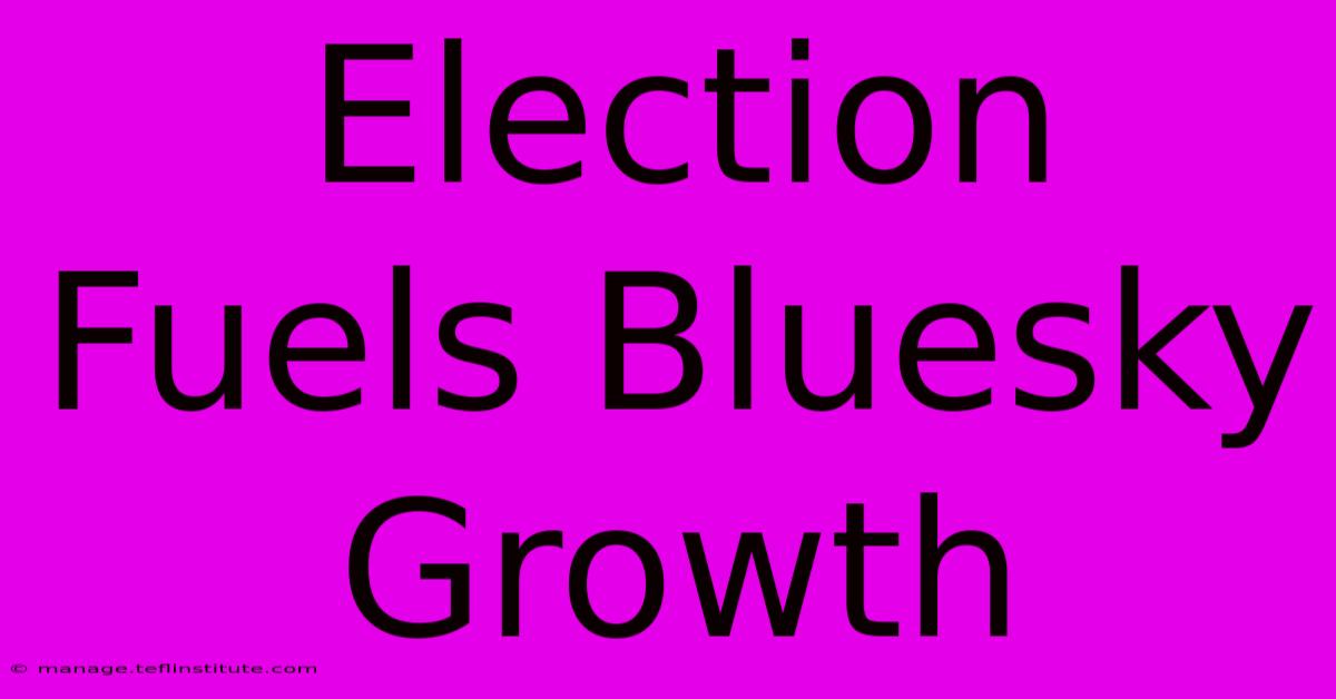 Election Fuels Bluesky Growth