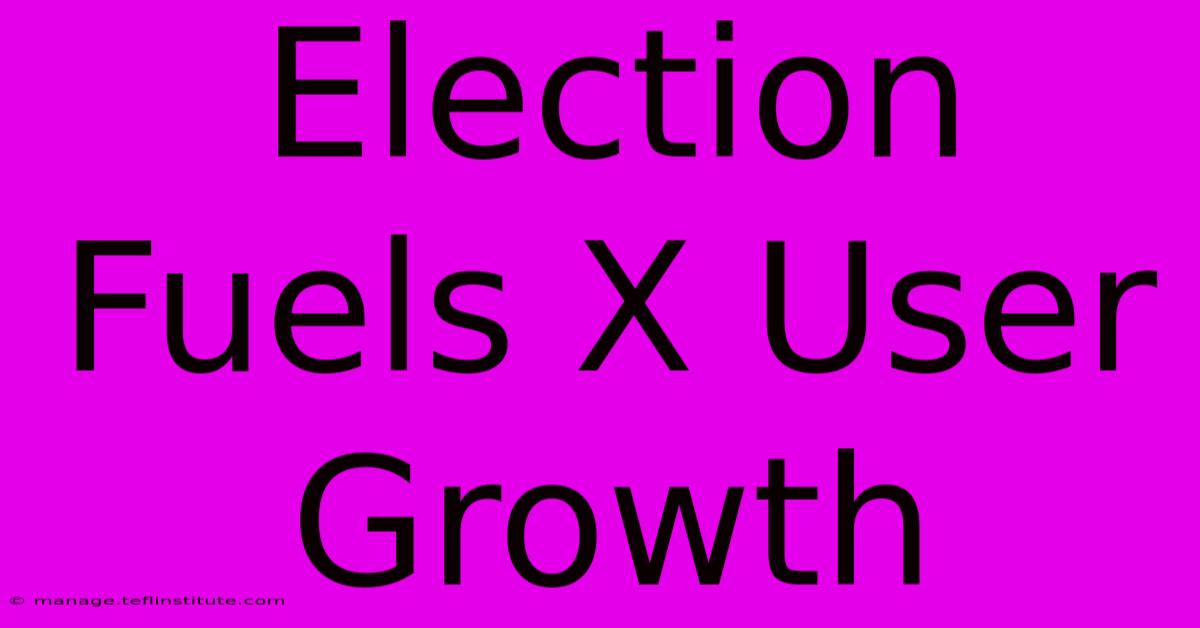 Election Fuels X User Growth