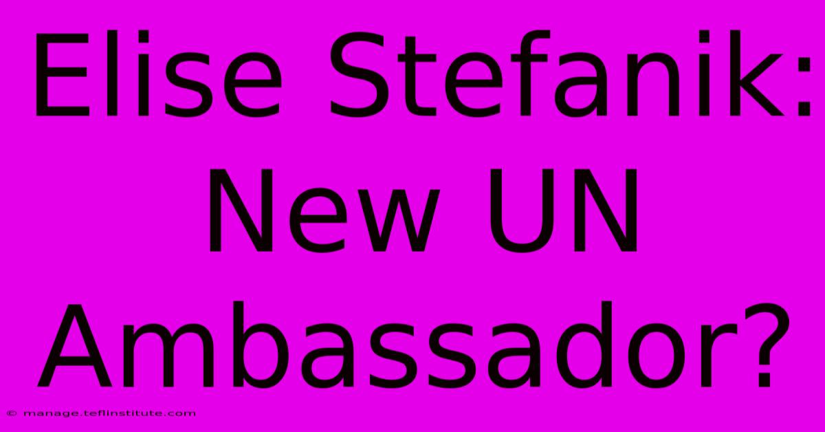 Elise Stefanik:  New UN Ambassador?