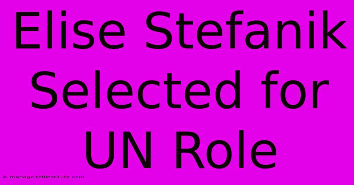 Elise Stefanik Selected For UN Role