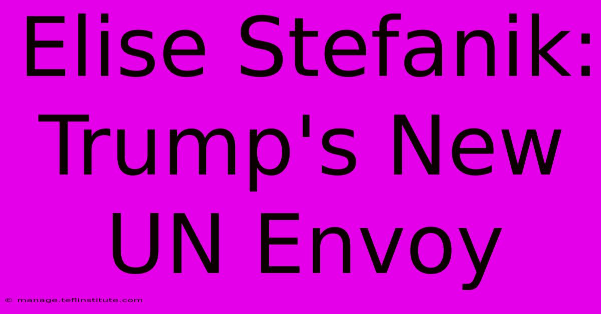 Elise Stefanik: Trump's New UN Envoy