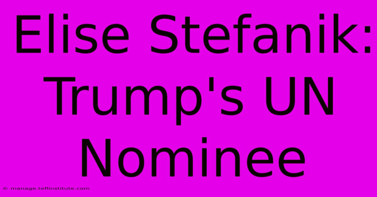 Elise Stefanik: Trump's UN Nominee