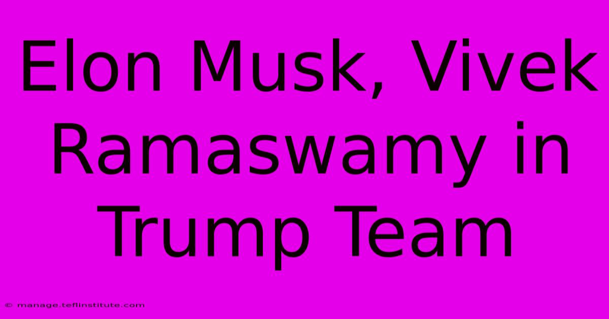 Elon Musk, Vivek Ramaswamy In Trump Team