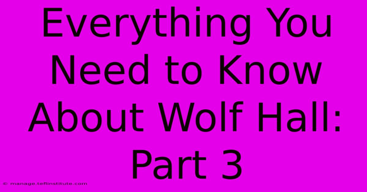 Everything You Need To Know About Wolf Hall: Part 3 