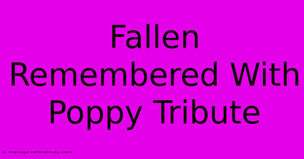 Fallen Remembered With Poppy Tribute