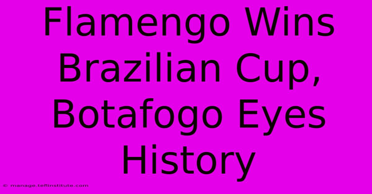 Flamengo Wins Brazilian Cup, Botafogo Eyes History