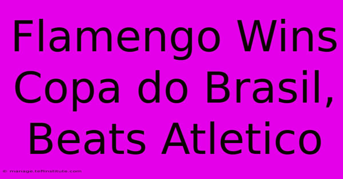 Flamengo Wins Copa Do Brasil, Beats Atletico