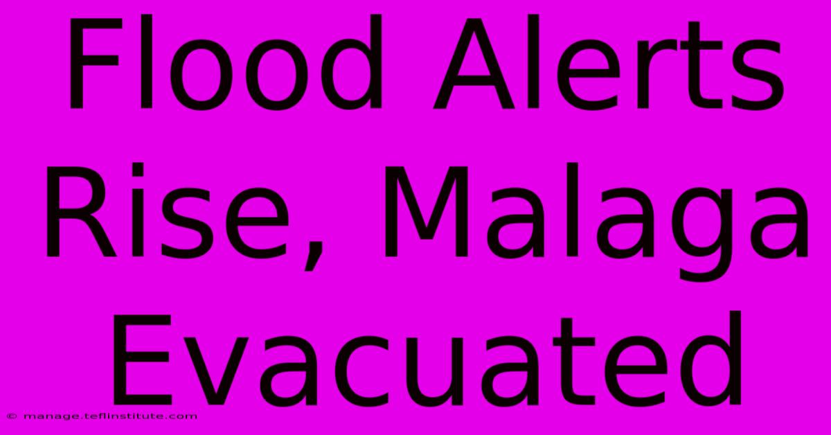 Flood Alerts Rise, Malaga Evacuated