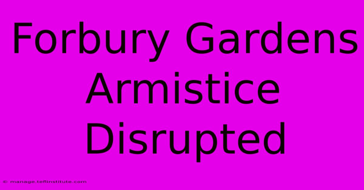 Forbury Gardens Armistice Disrupted 