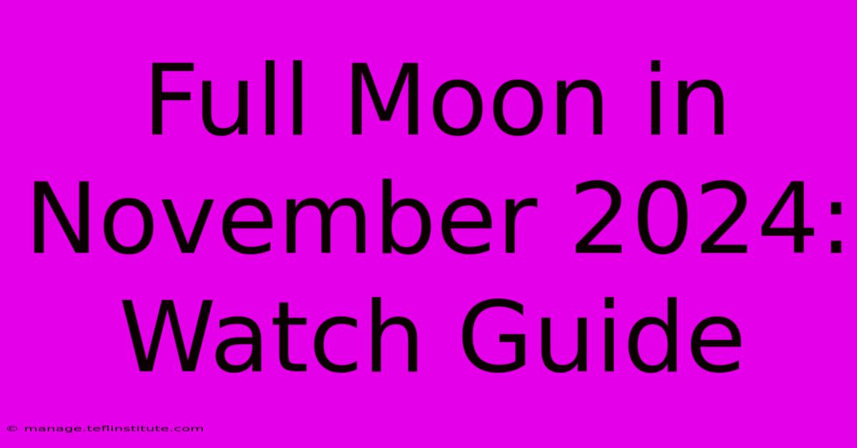 Full Moon In November 2024: Watch Guide