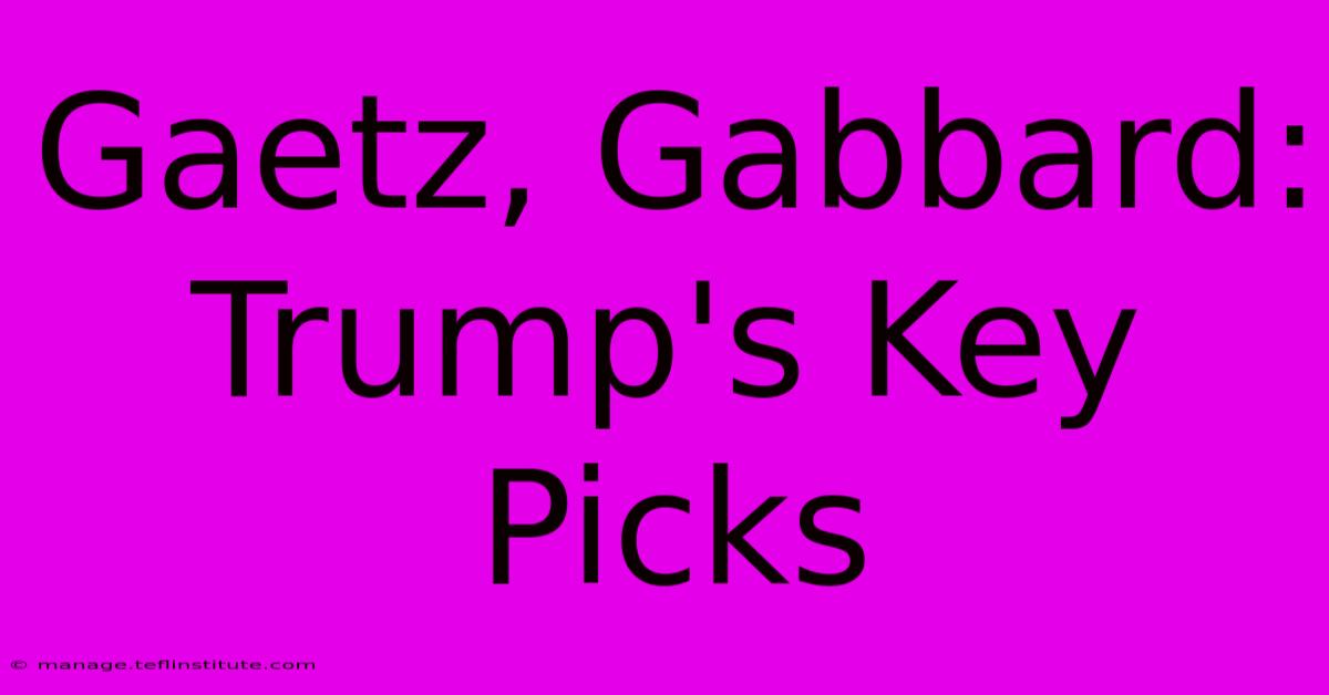 Gaetz, Gabbard: Trump's Key Picks 