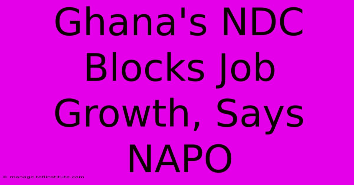 Ghana's NDC Blocks Job Growth, Says NAPO