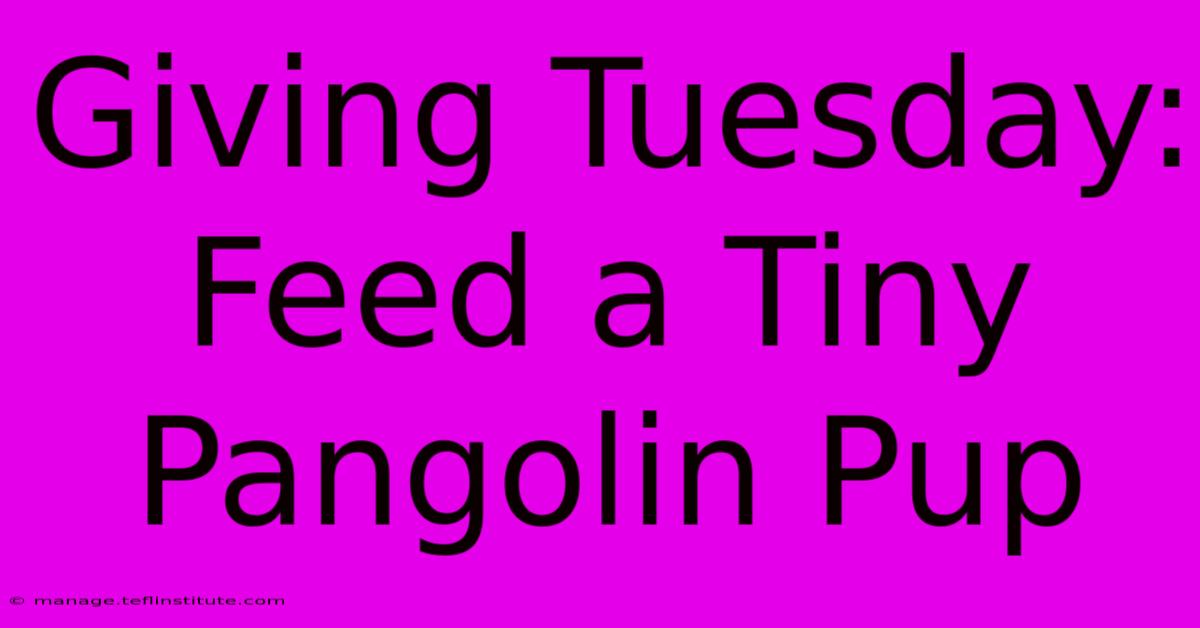 Giving Tuesday: Feed A Tiny Pangolin Pup