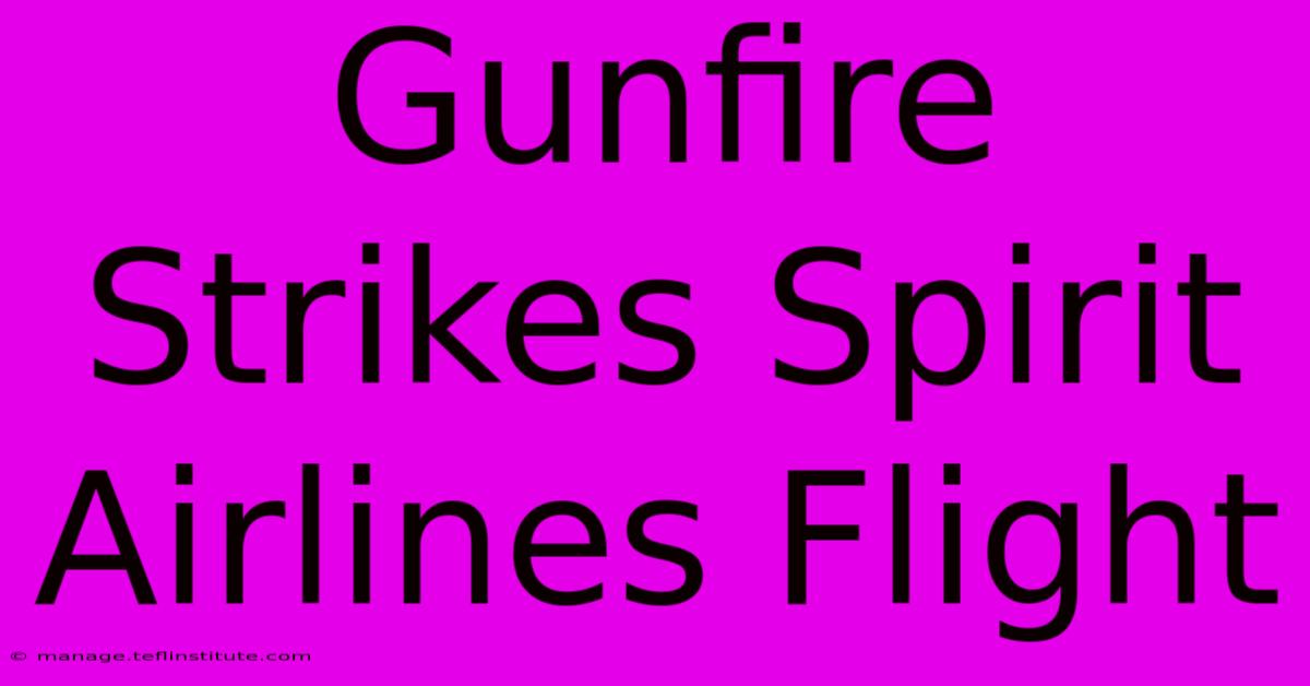 Gunfire Strikes Spirit Airlines Flight