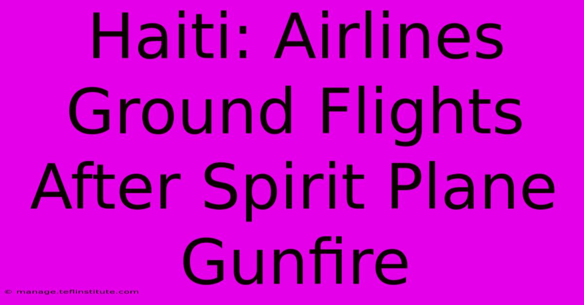 Haiti: Airlines Ground Flights After Spirit Plane Gunfire