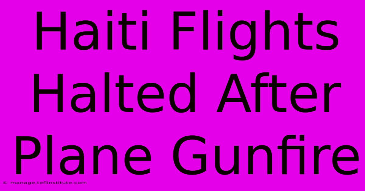 Haiti Flights Halted After Plane Gunfire