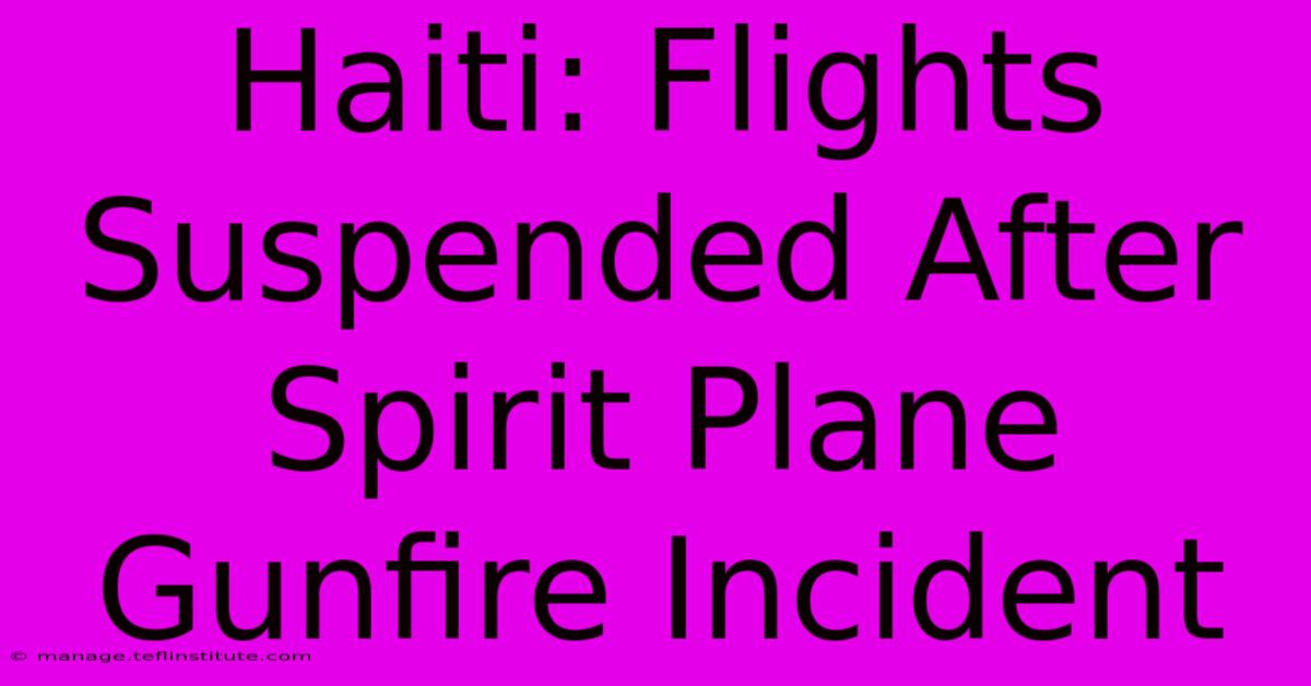 Haiti: Flights Suspended After Spirit Plane Gunfire Incident