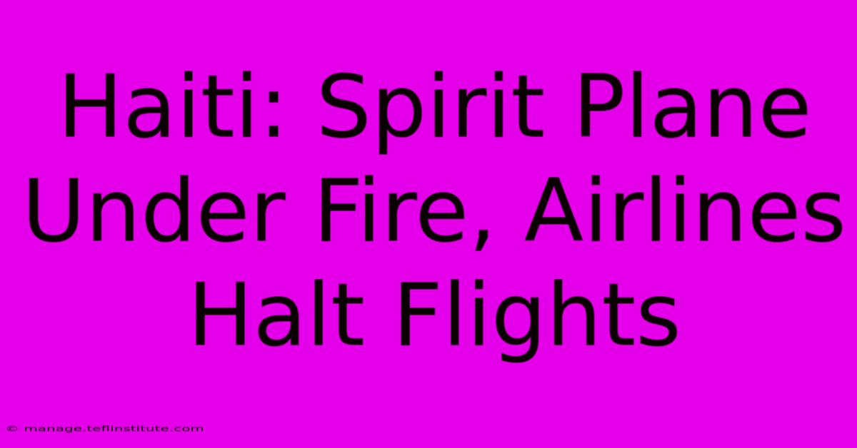 Haiti: Spirit Plane Under Fire, Airlines Halt Flights