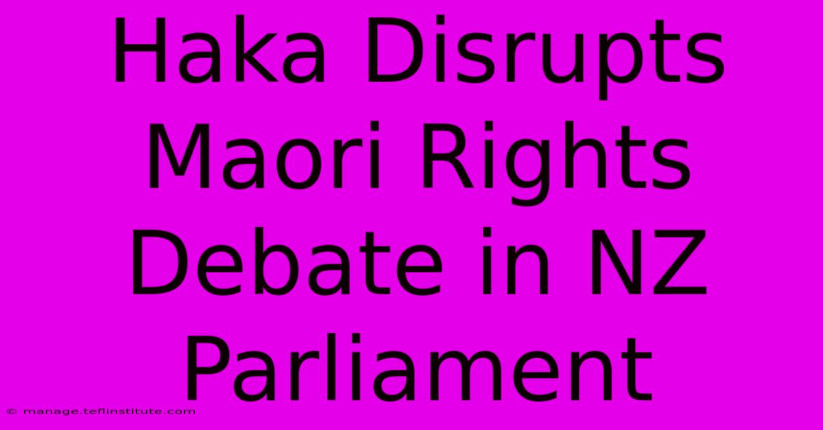 Haka Disrupts Maori Rights Debate In NZ Parliament