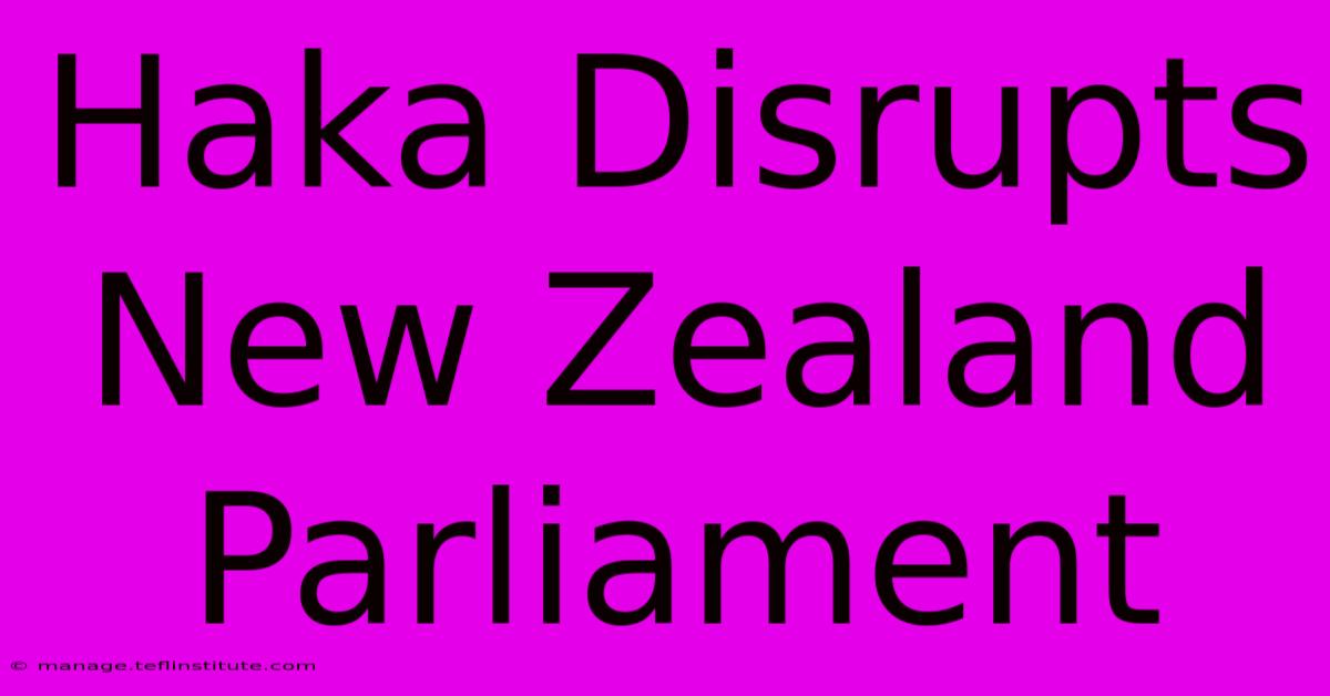 Haka Disrupts New Zealand Parliament