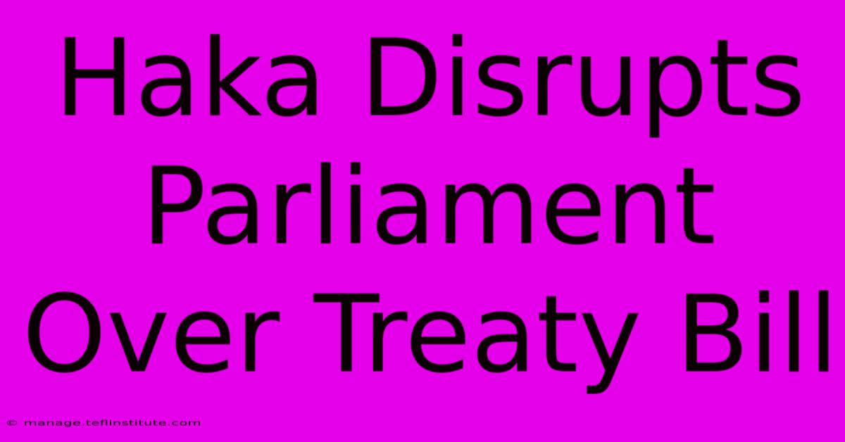 Haka Disrupts Parliament Over Treaty Bill