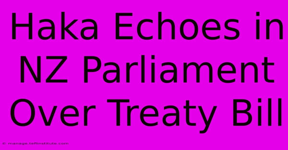 Haka Echoes In NZ Parliament Over Treaty Bill 