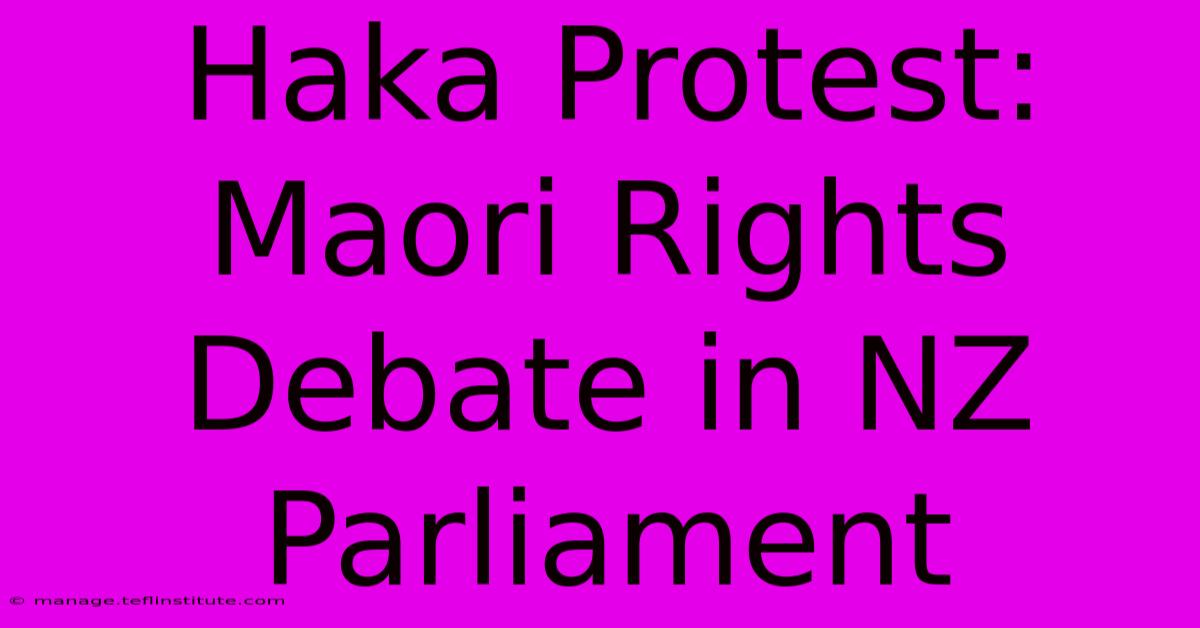 Haka Protest: Maori Rights Debate In NZ Parliament