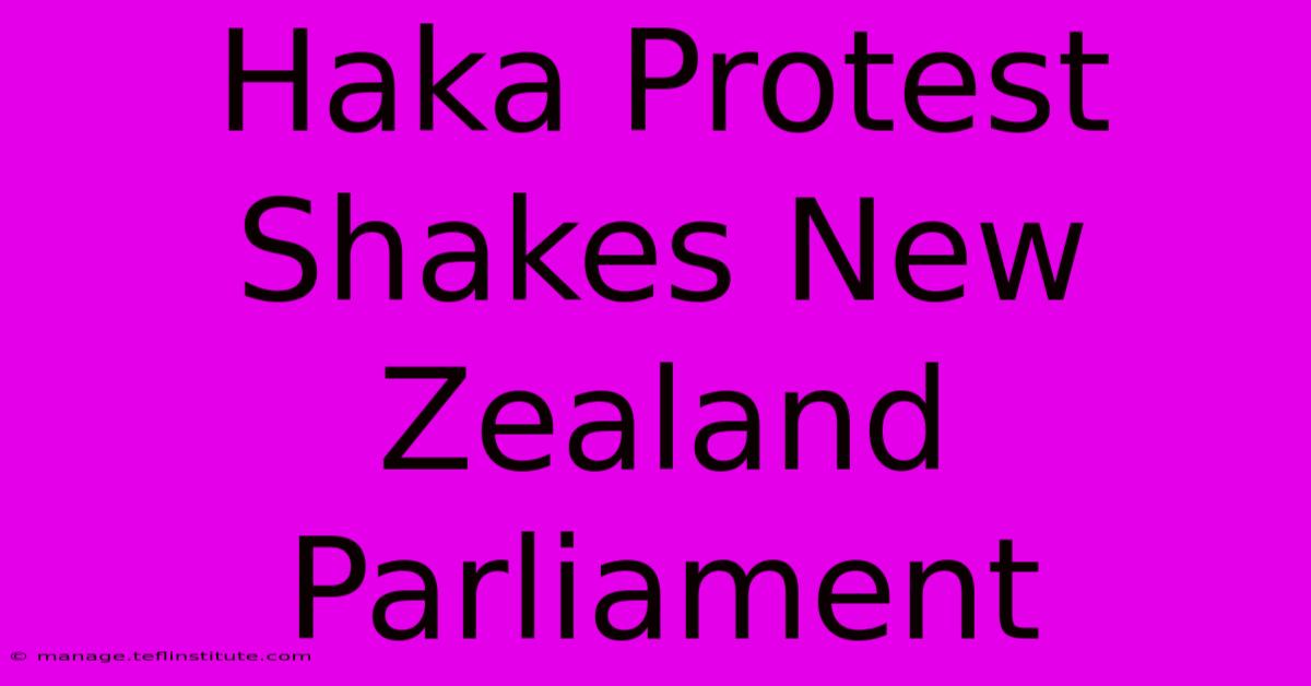 Haka Protest Shakes New Zealand Parliament