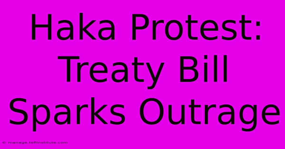 Haka Protest: Treaty Bill Sparks Outrage