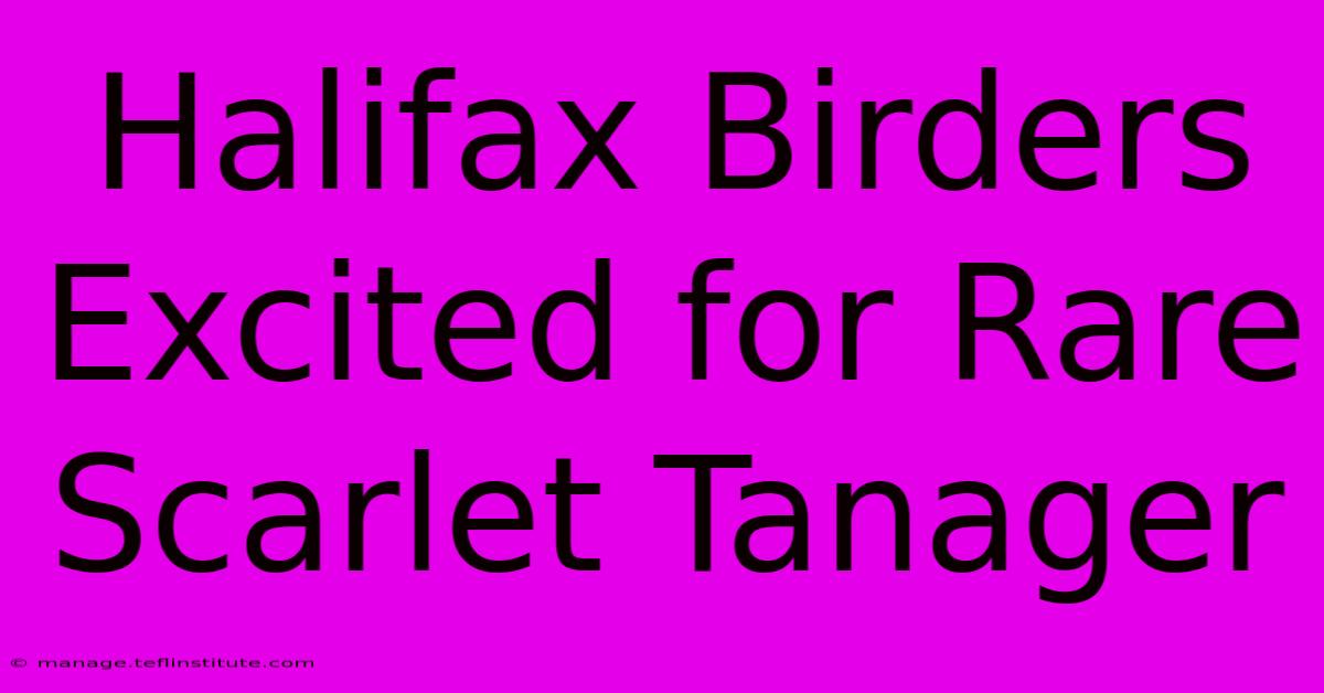 Halifax Birders Excited For Rare Scarlet Tanager