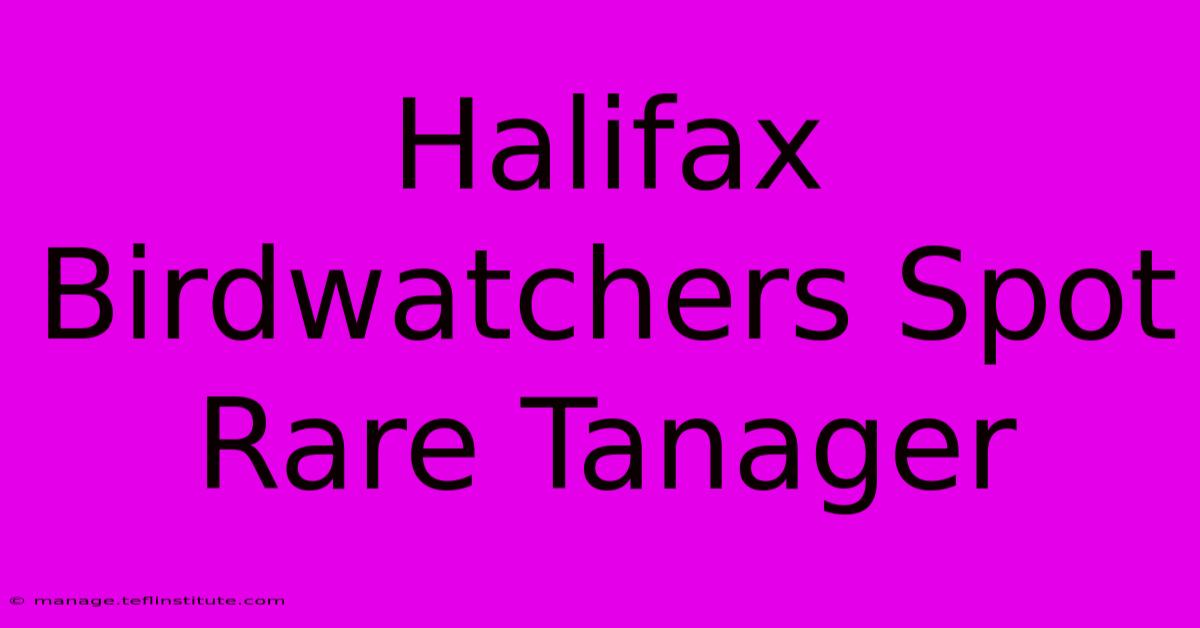 Halifax Birdwatchers Spot Rare Tanager 