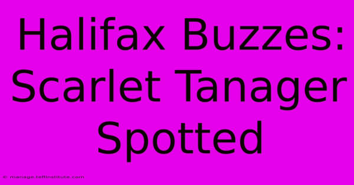 Halifax Buzzes: Scarlet Tanager Spotted