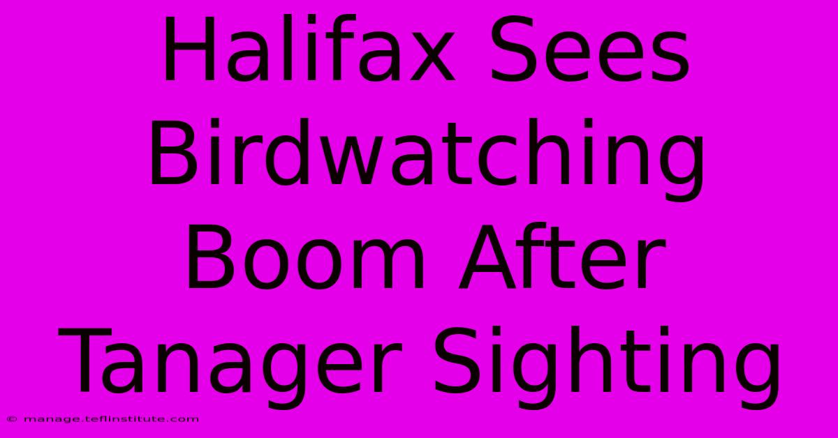 Halifax Sees Birdwatching Boom After Tanager Sighting