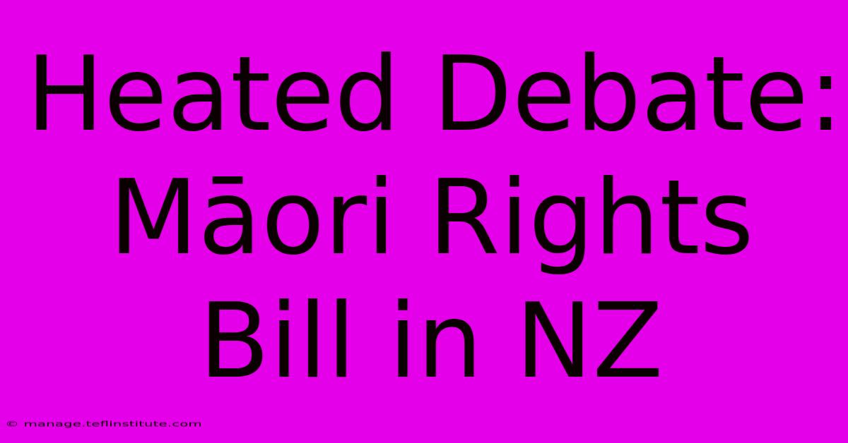 Heated Debate: Māori Rights Bill In NZ