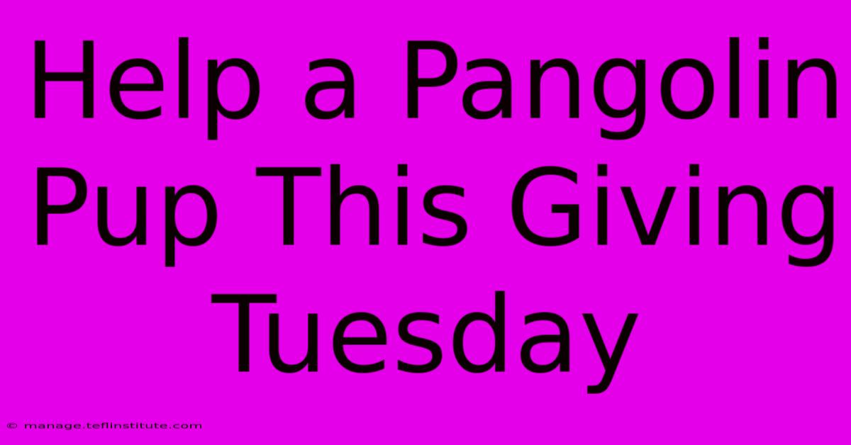 Help A Pangolin Pup This Giving Tuesday