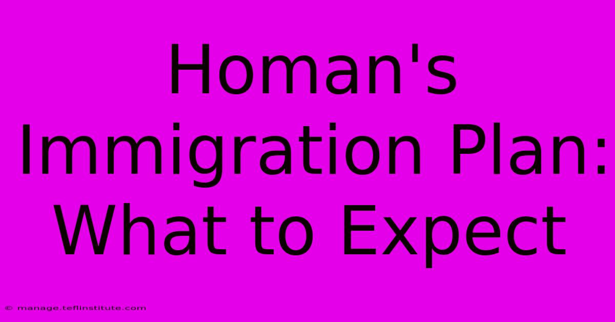 Homan's Immigration Plan: What To Expect