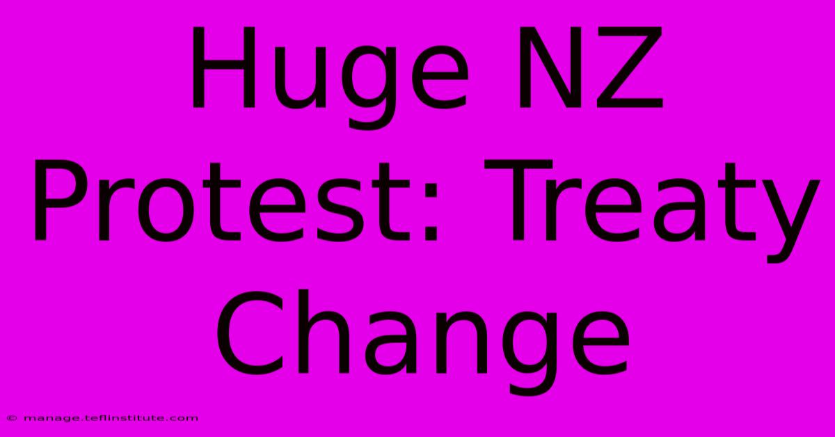 Huge NZ Protest: Treaty Change