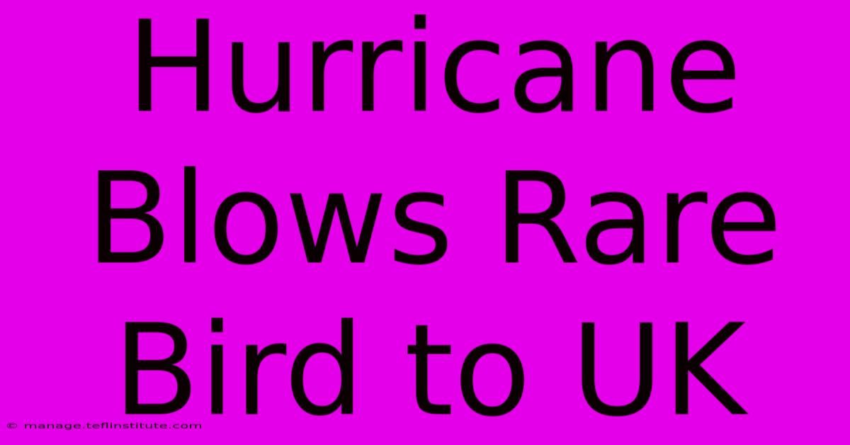 Hurricane Blows Rare Bird To UK