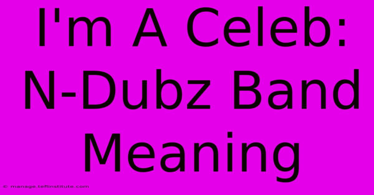 I'm A Celeb: N-Dubz Band Meaning