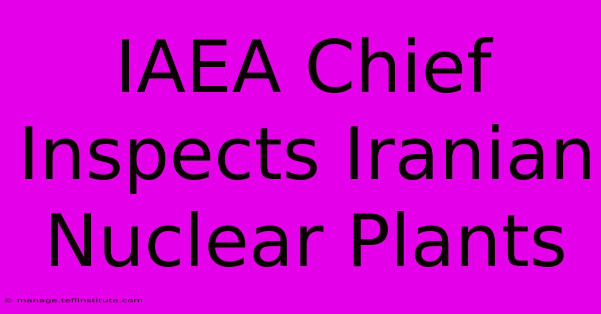 IAEA Chief Inspects Iranian Nuclear Plants