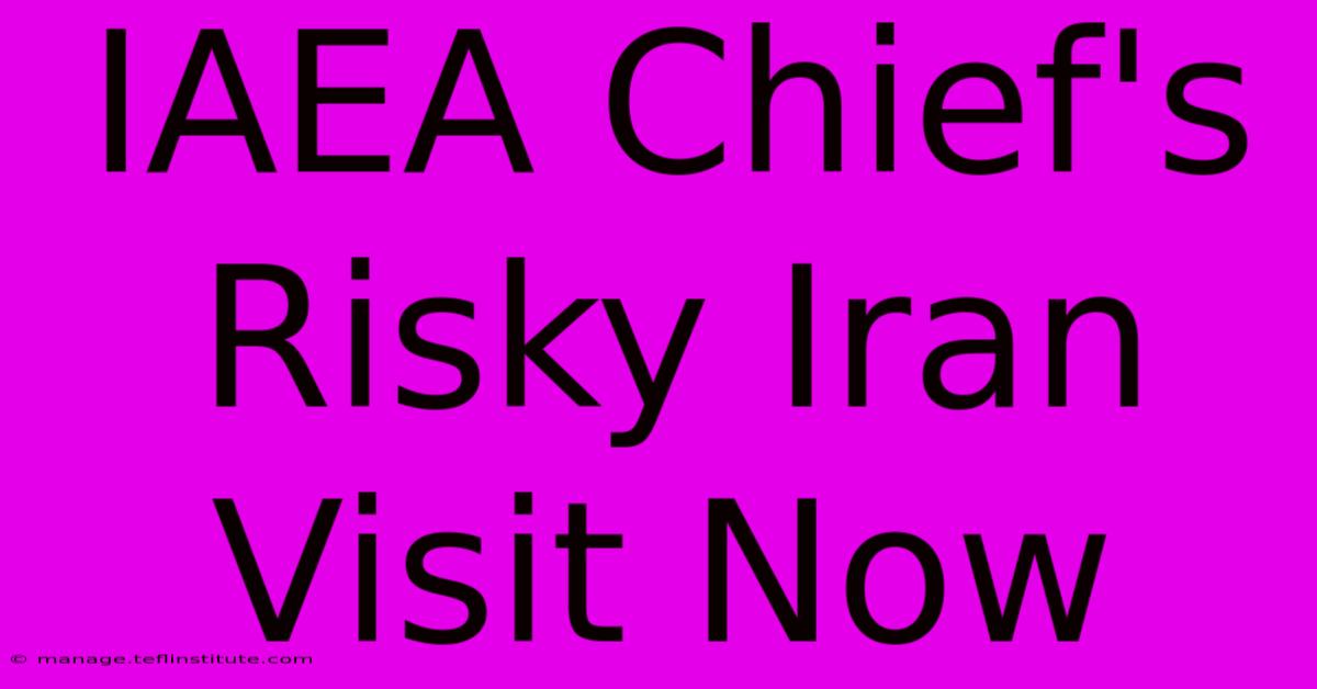 IAEA Chief's Risky Iran Visit Now