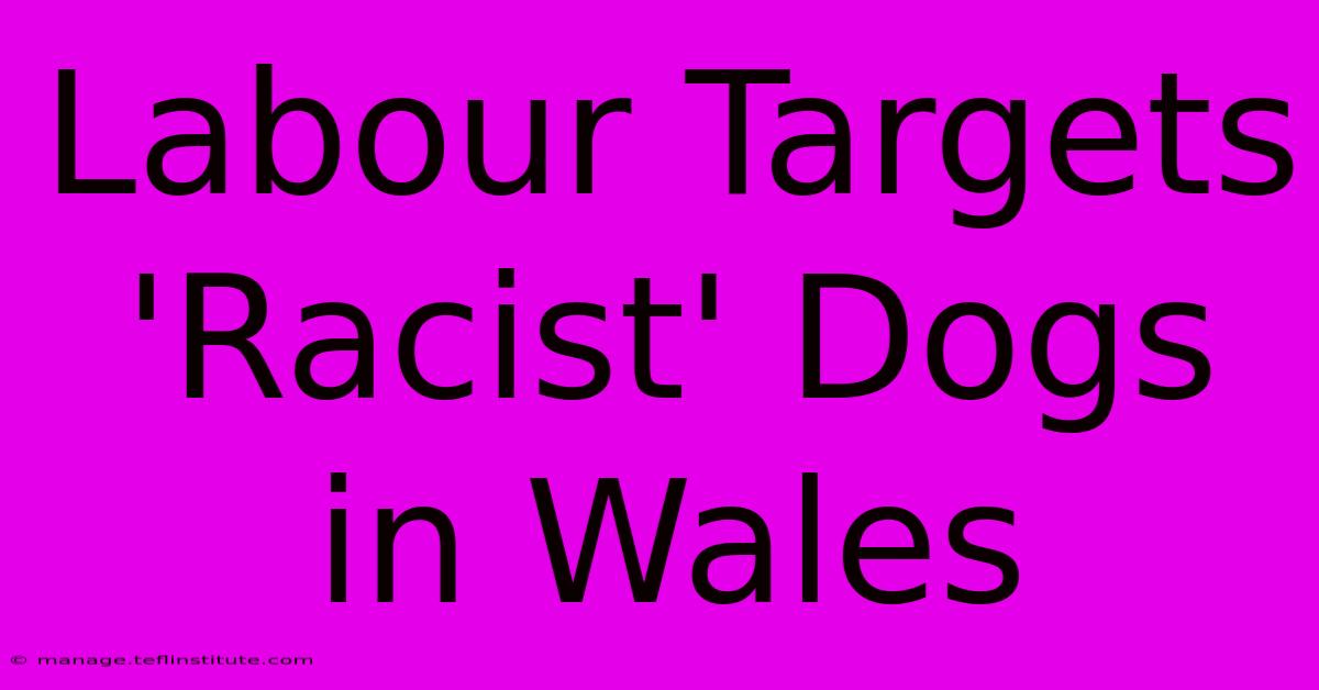 Labour Targets 'Racist' Dogs In Wales